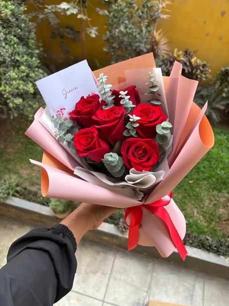 Ramo de 6 Rosas Rojas con Gypsophila - Delirio Florería