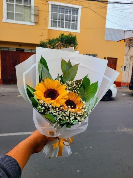 Ramo de 2 Girasoles con Gypsophila - Delirio Florería