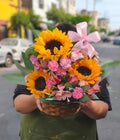 Canasta de girasoles - Delirio Florería