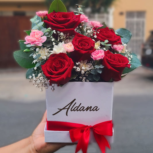 Box Aldana