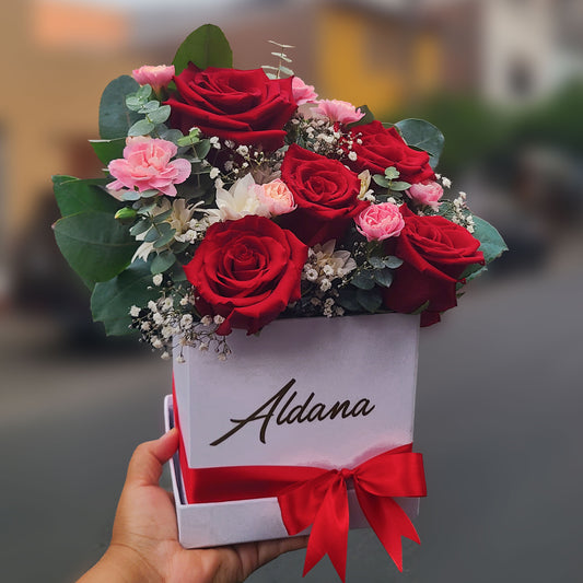 Box Aldana